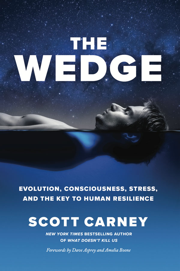 The Wedge By Scott Carney